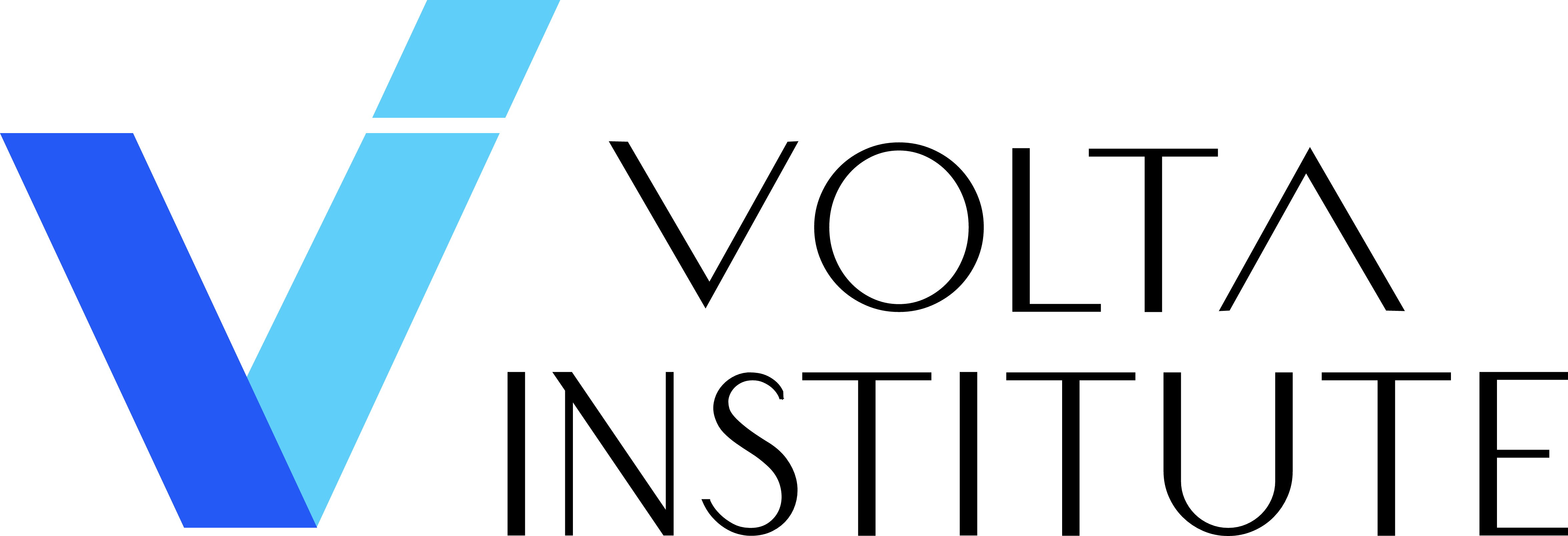 Logo Volta Institute